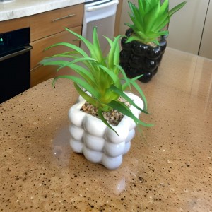 قوار ورد صبار16 سم بورسلان بابلز مربع ابيض M21-7